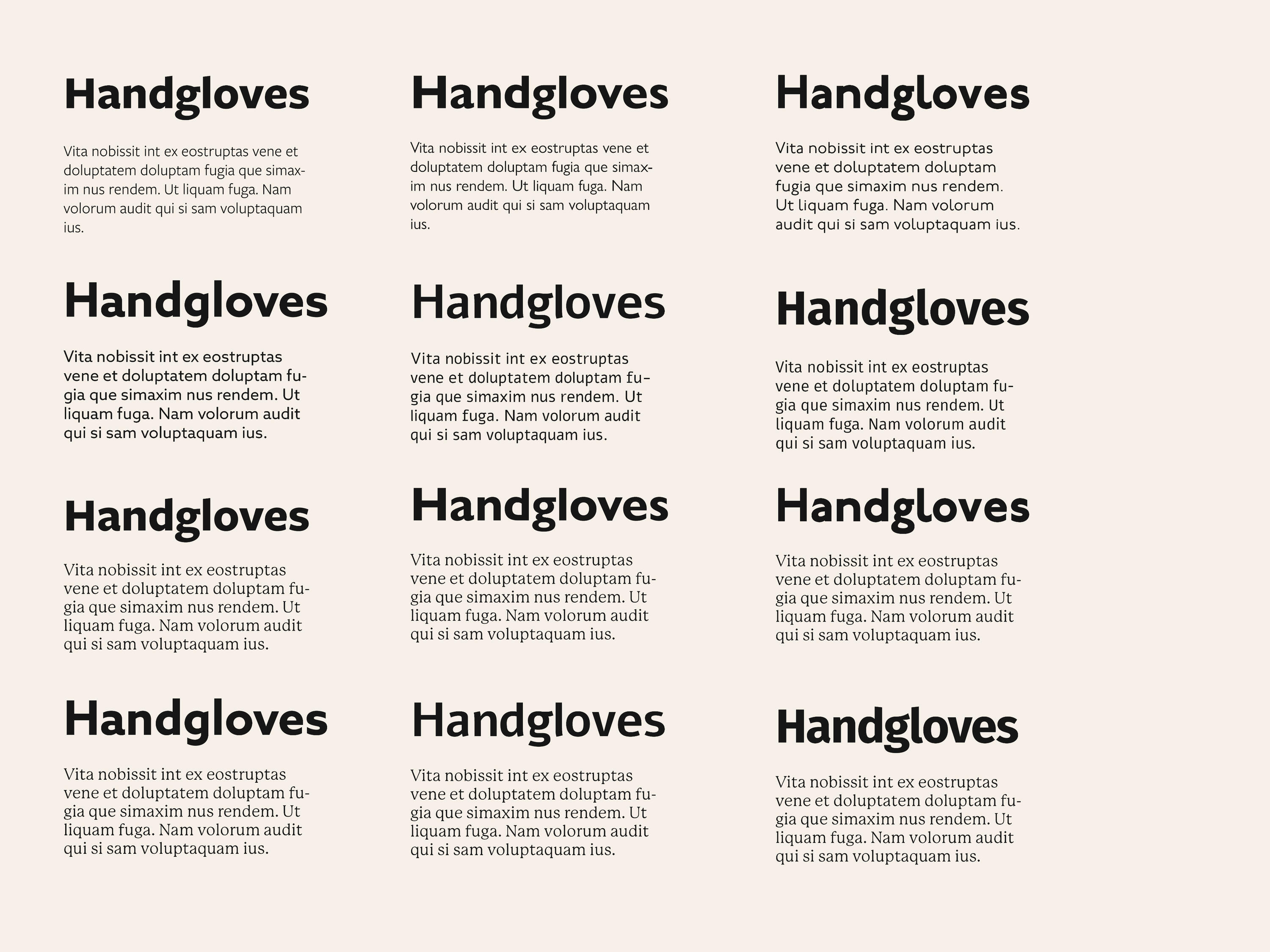 Type Study A grid of typeface examples.